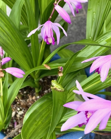 6月４日