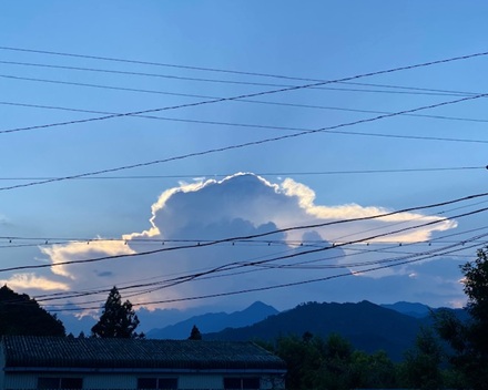 8月2日