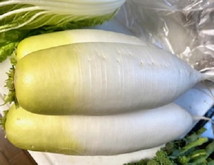 冬野菜