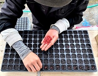 八十八屋　日曜日は味ごはんおにぎりの日