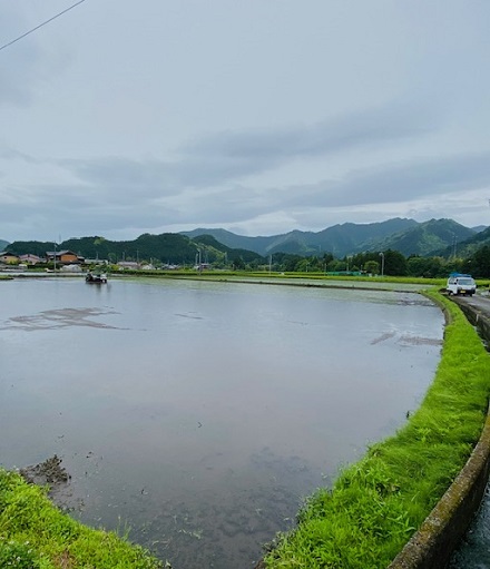 5月20日 小満