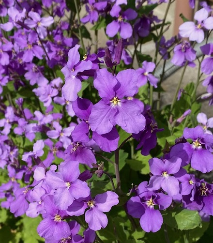 3月31日