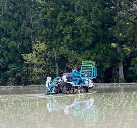 4月15日　令和８年度田植え始まる