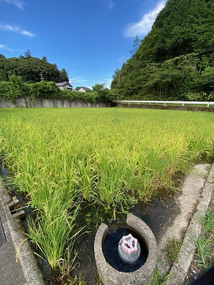 8月28日