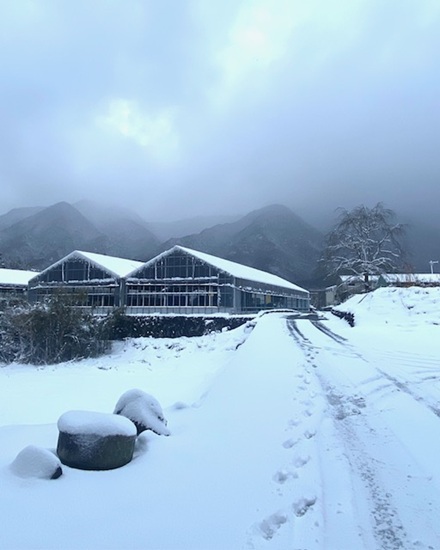 2月8日　本日積雪のため臨時休業となります