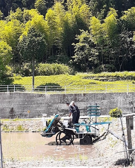 5月15日