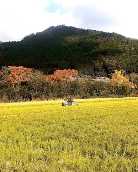 11月14日　モミガラくん炭４．５㎏（2袋）は完売しました