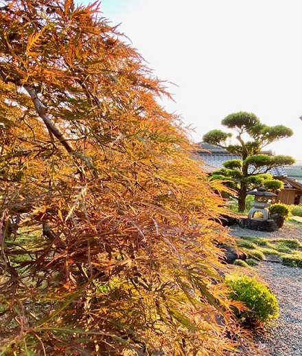 6月14日