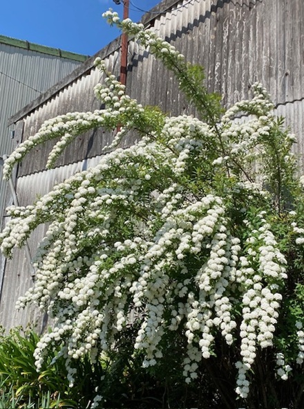 4月30日