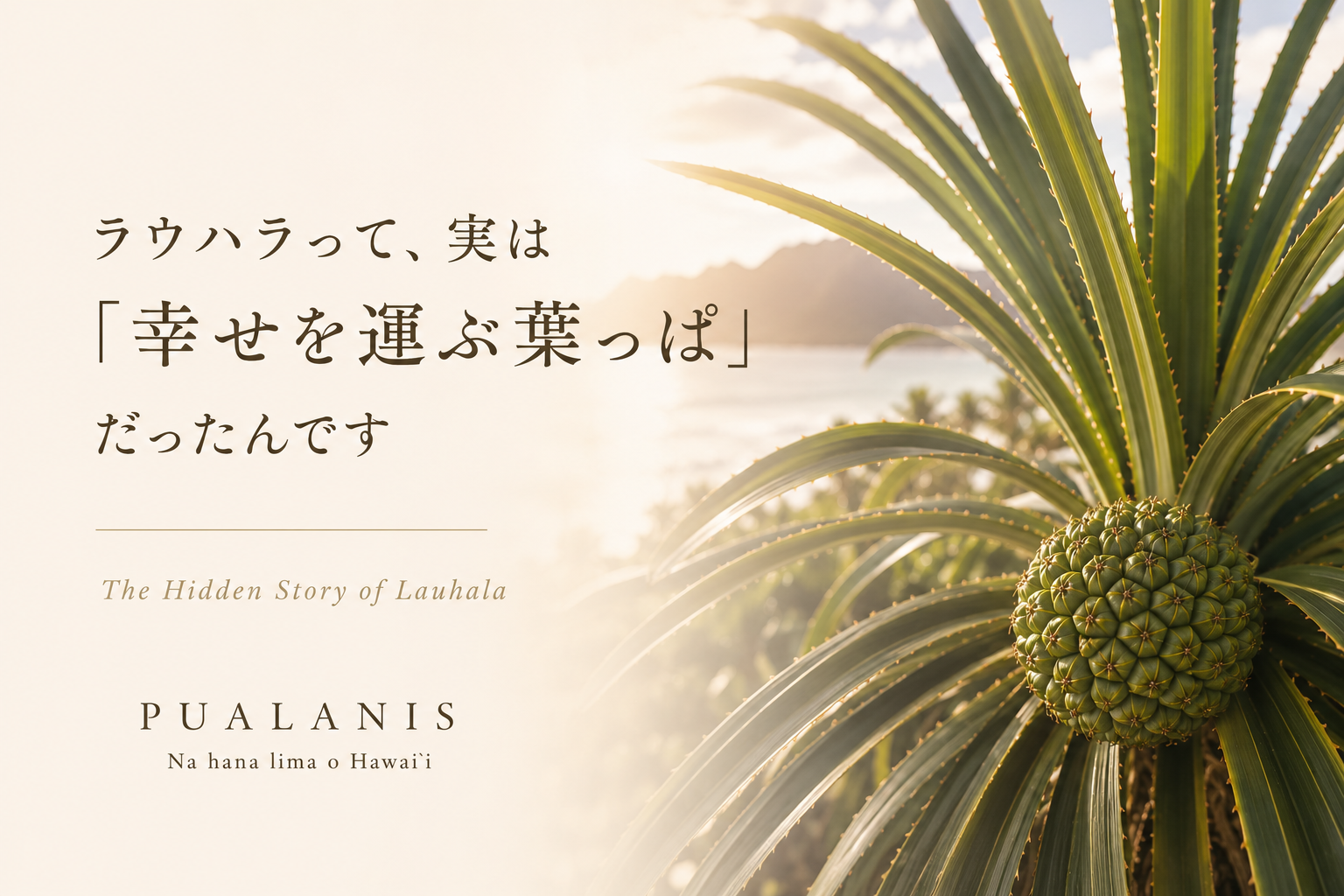 ラウハラって、実は『幸せを運ぶ葉っぱ』なんです