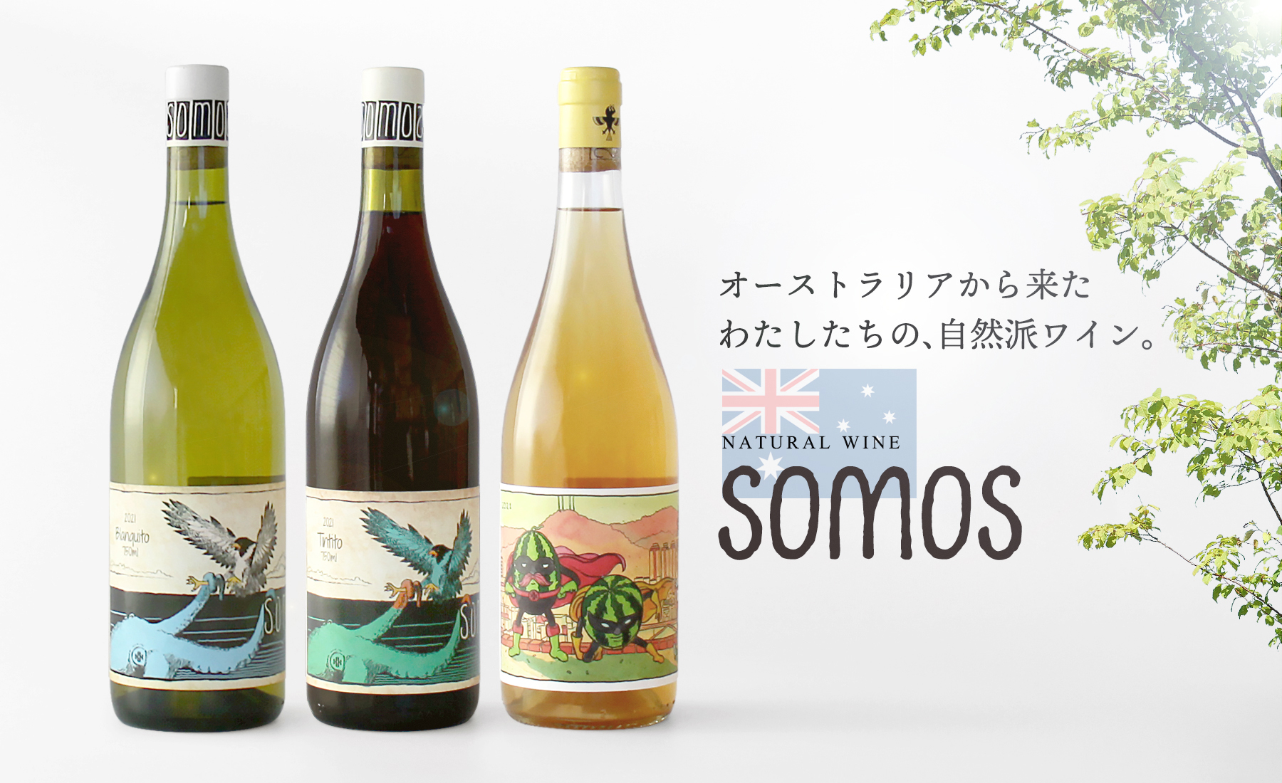 【SOMOS】次世代を担うオーストラリアのナチュールワイン。