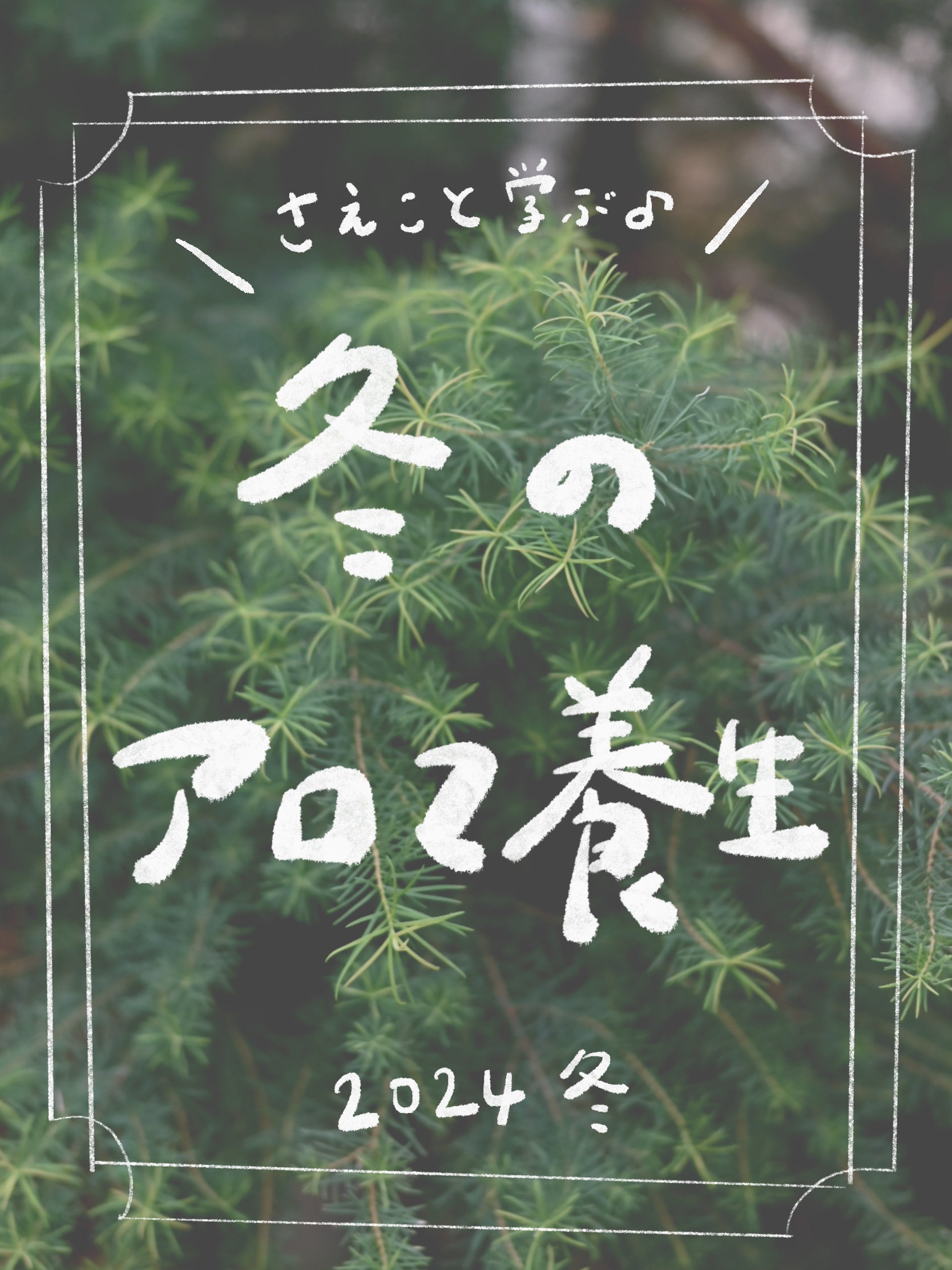 12月に初めてアロマワークショップを開催します！