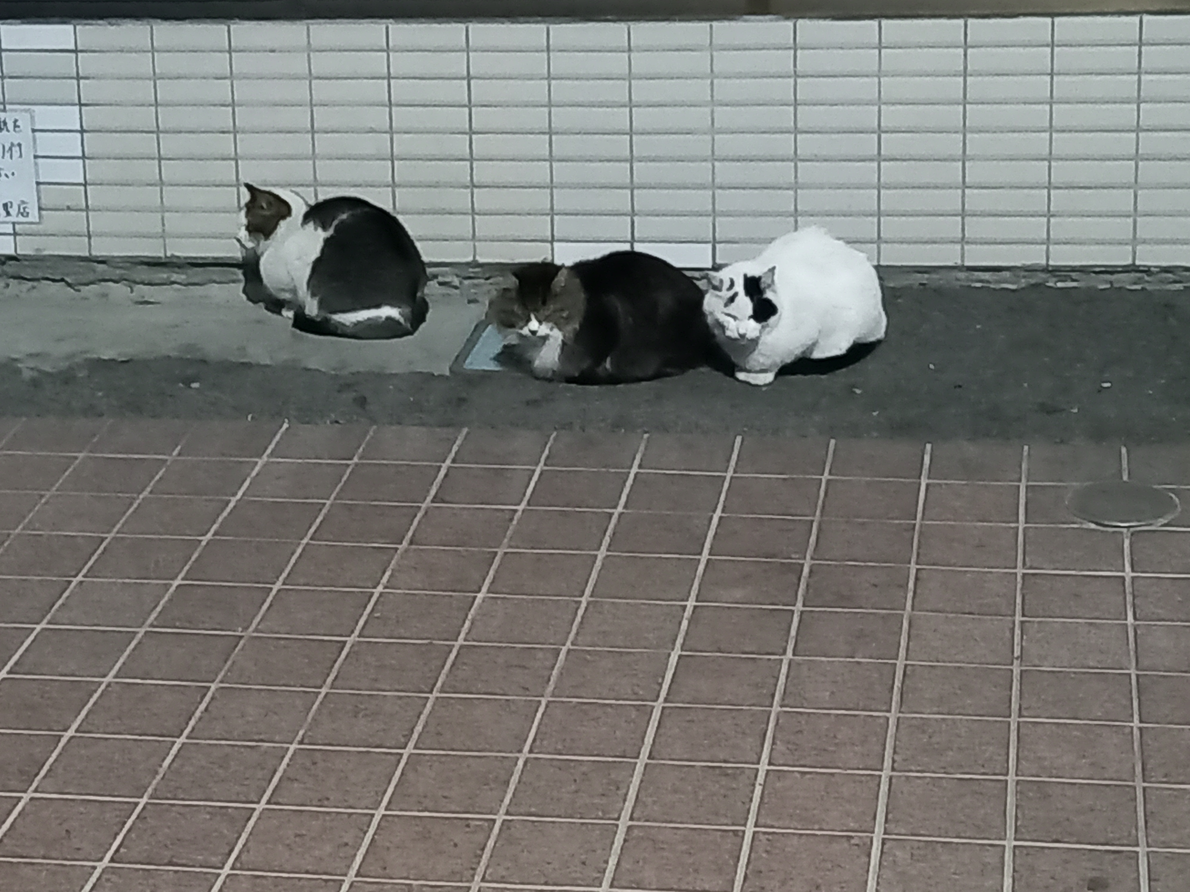 vol.25 サングラス越しに見えているもの