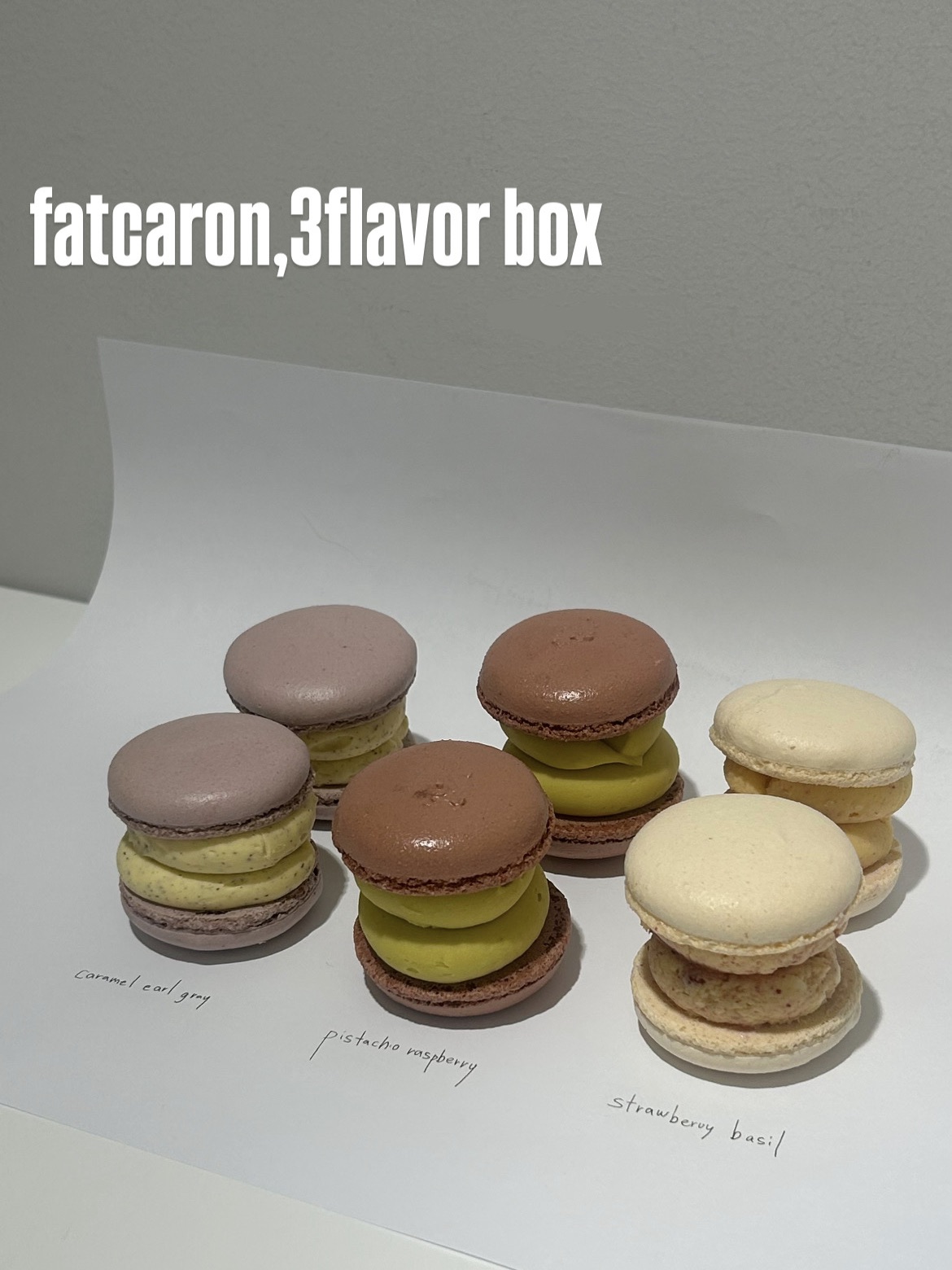 fatcaron(太っちょマカロン）