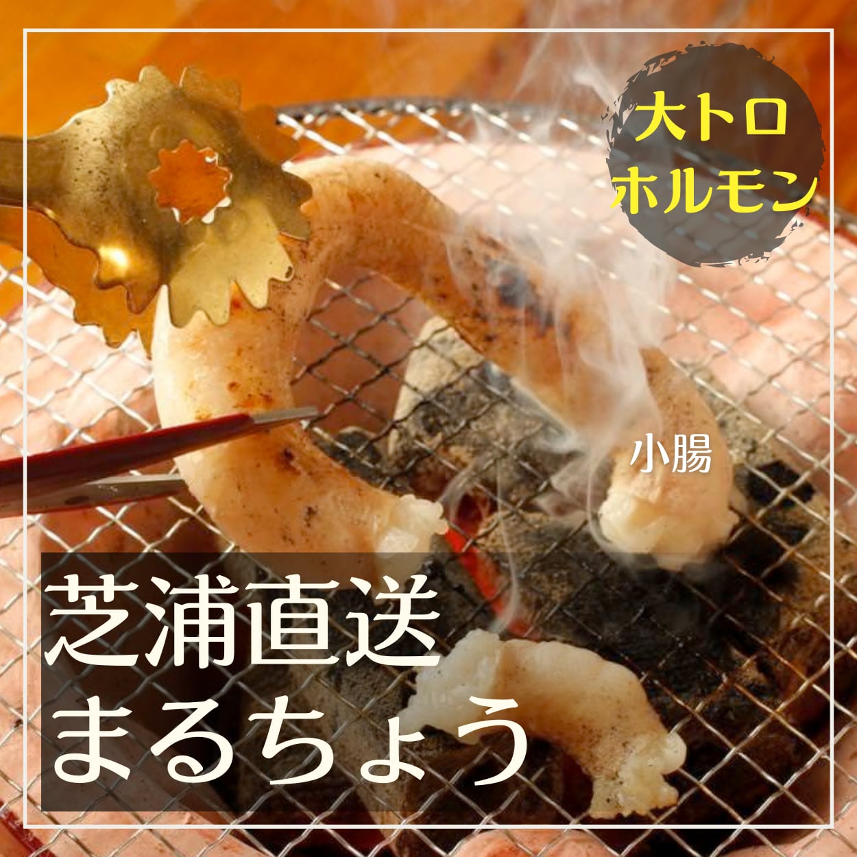 【要保存】ロングマルチョウの焼き方講座～パリパリになるようにサポートします～（焼き方動画付き）
