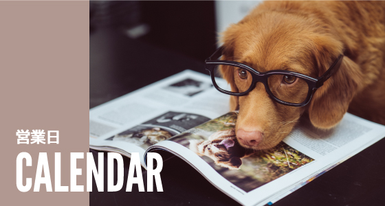 - calendar - 営業日