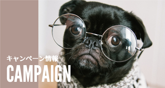- campaign - キャンペーン情報
