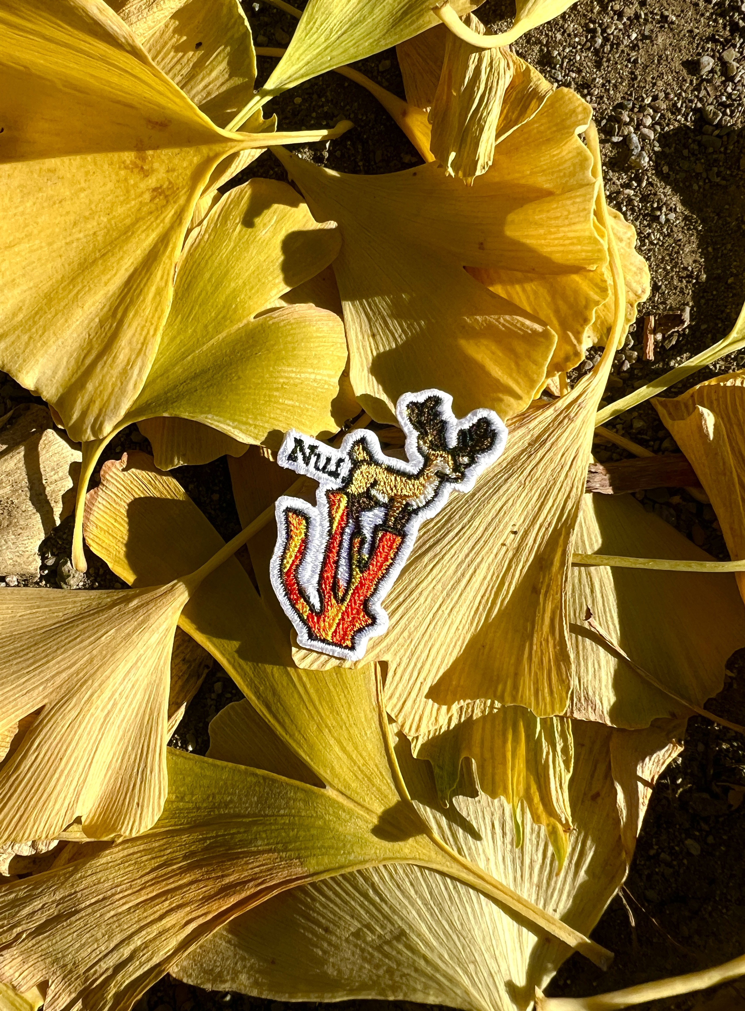 Nui. Christmas Market 2025へ参加させていただきます！