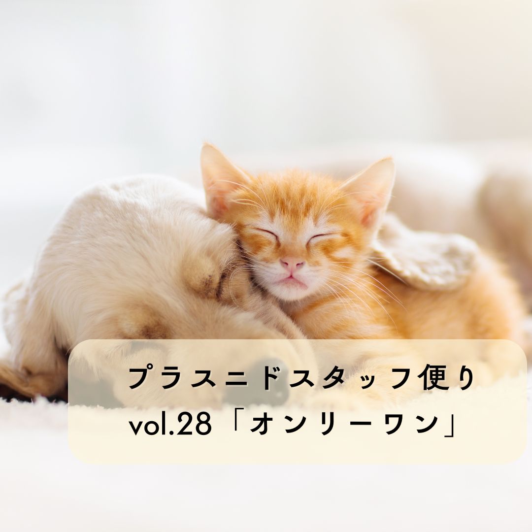 プラスニドスタッフ便りvol.28『オンリーワンな存在』
