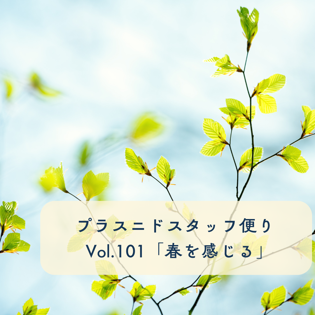 プラスニドスタッフ便りvol.101『春を感じる』