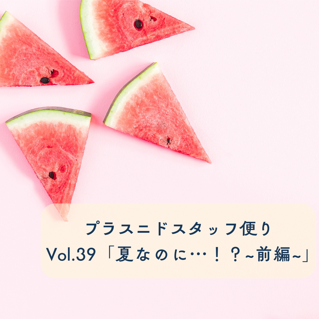 プラスニドスタッフ便りvol.39『夏なのに…！？〜前編〜』