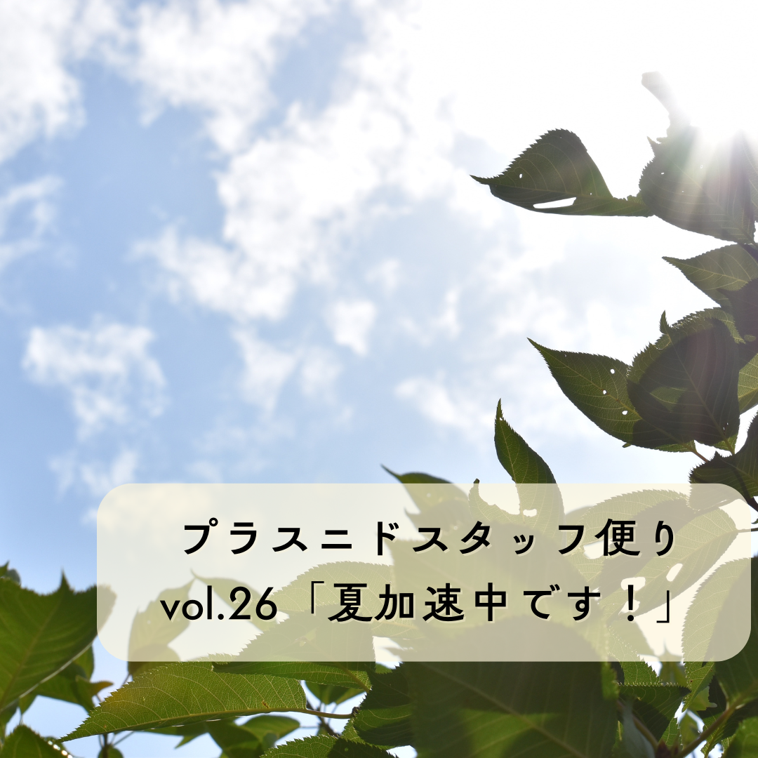 プラスニドスタッフ便りvol.26『プラスニドの夏加速中です！』