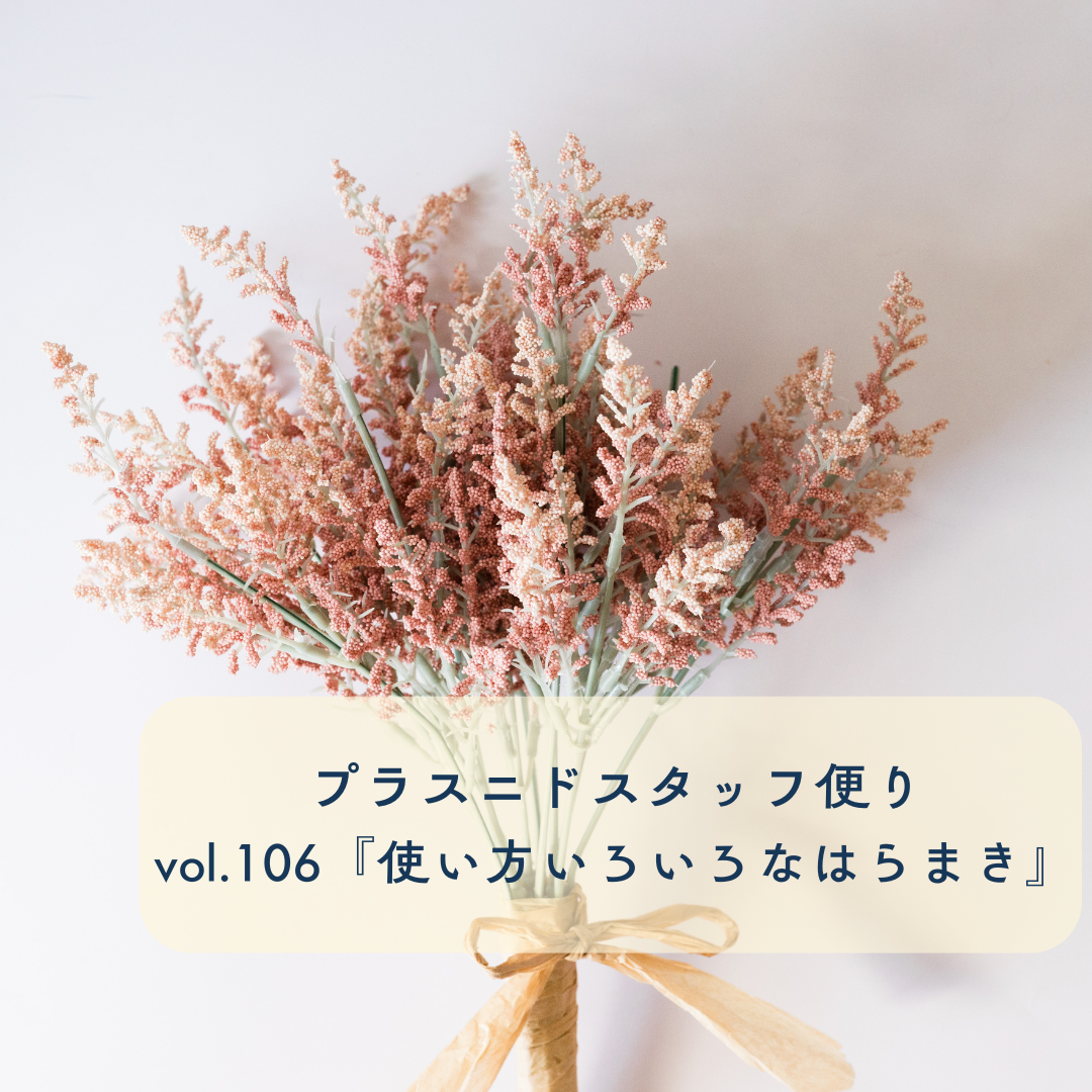 プラスニドスタッフ便りvol.106『使い方いろいろなはらまき』