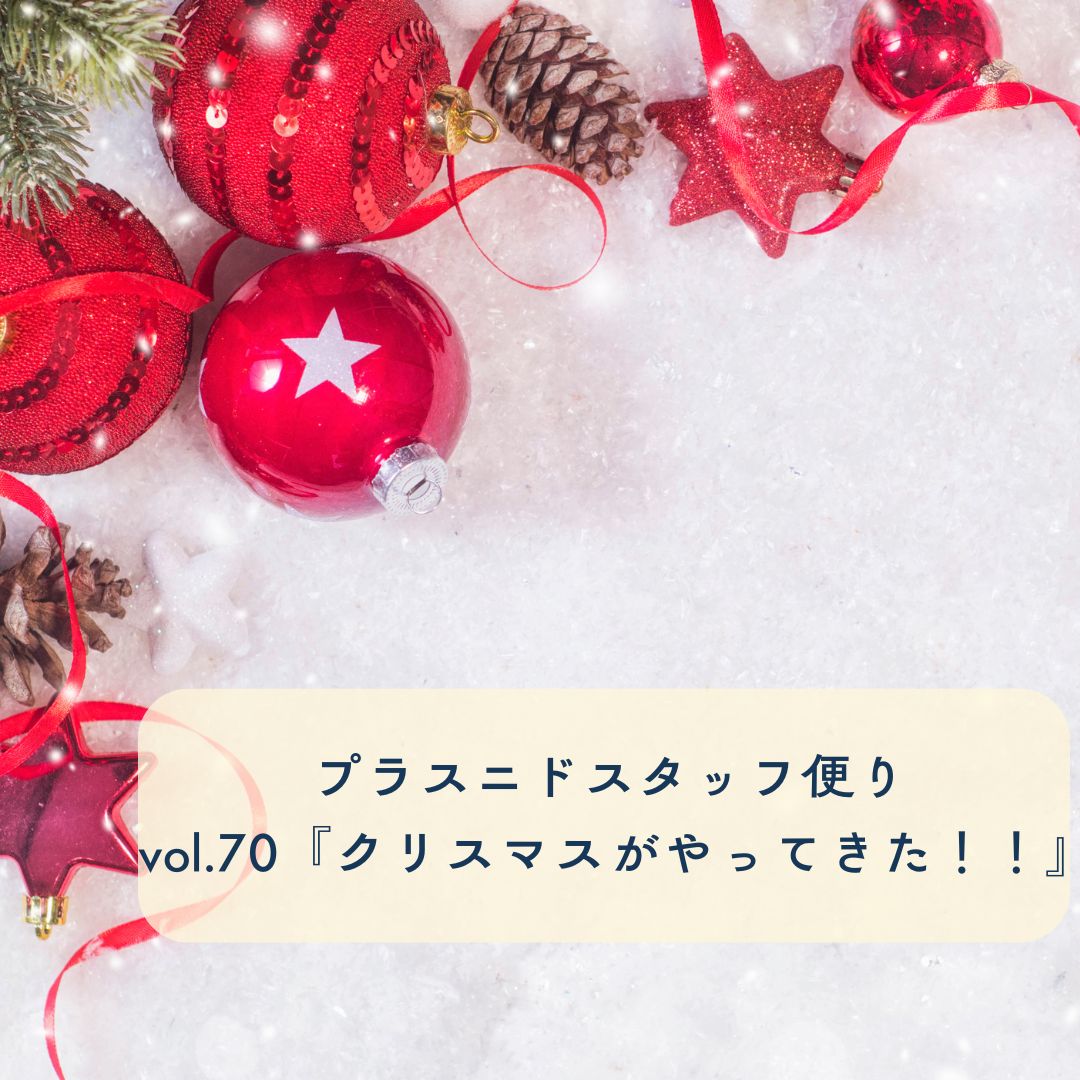 プラスニドスタッフ便りvol.70『プラスニドにクリスマスがやってきた！！』