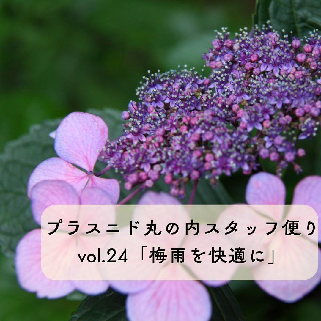 プラスニドスタッフ便りvol.24『梅雨を快適に乗り越える』
