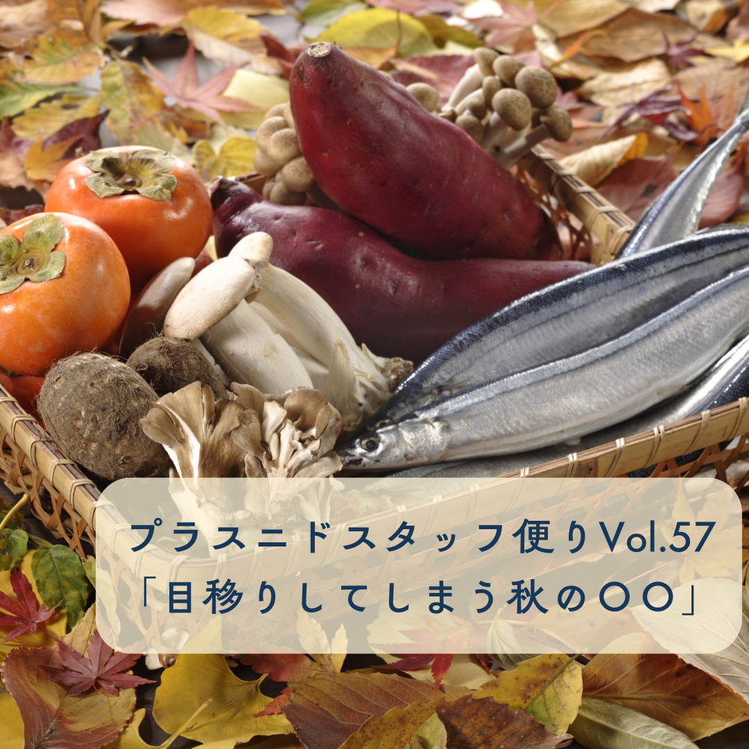 プラスニドスタッフ便りvol.57【目移りしてしまう秋の〇〇】