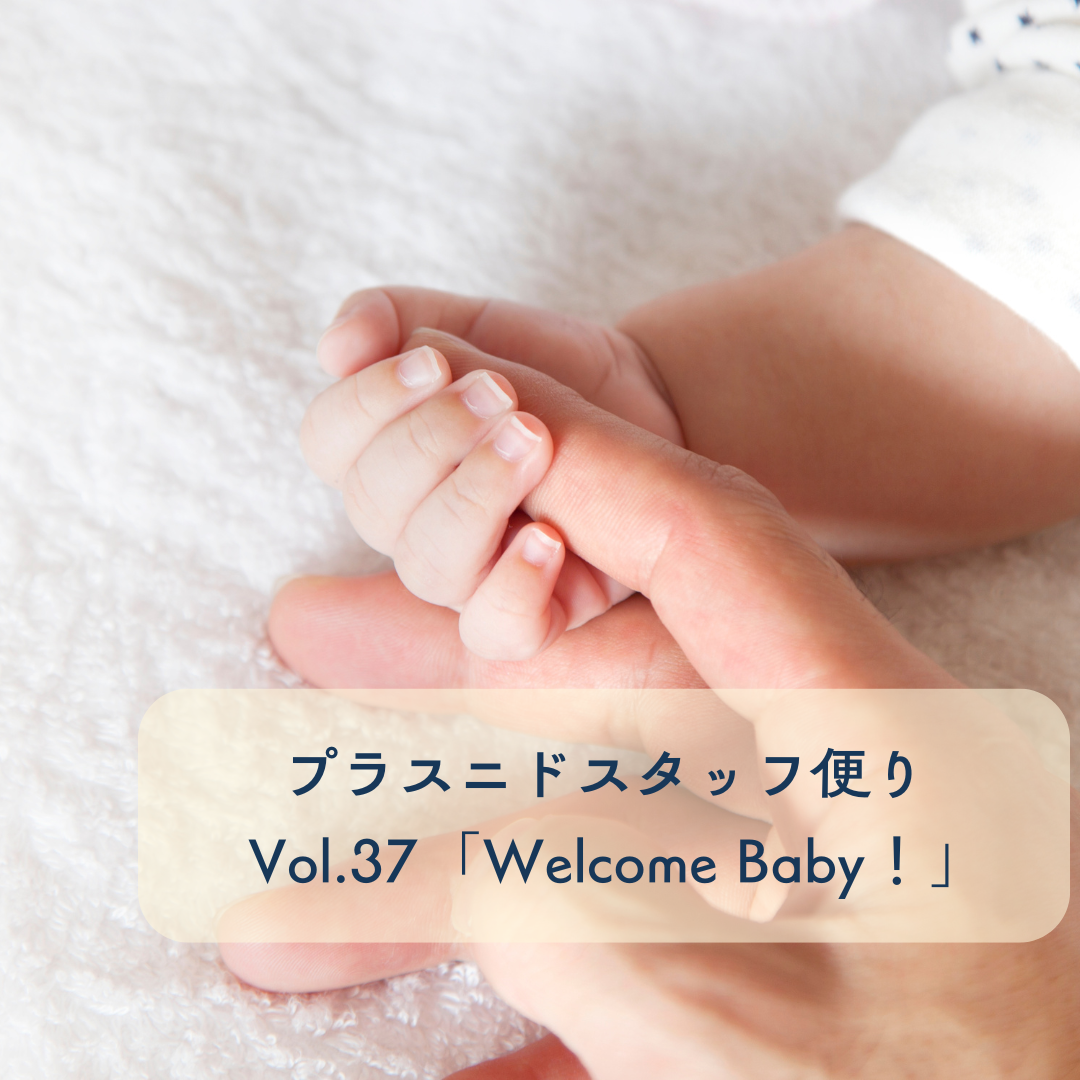 プラスニドスタッフ便りvol.37『Welcome Baby！』
