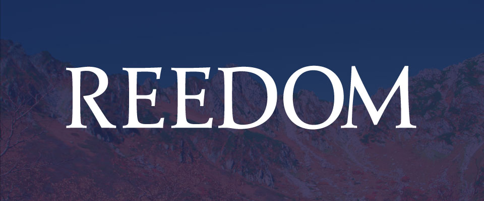 REEDOM スタッフブログの開設