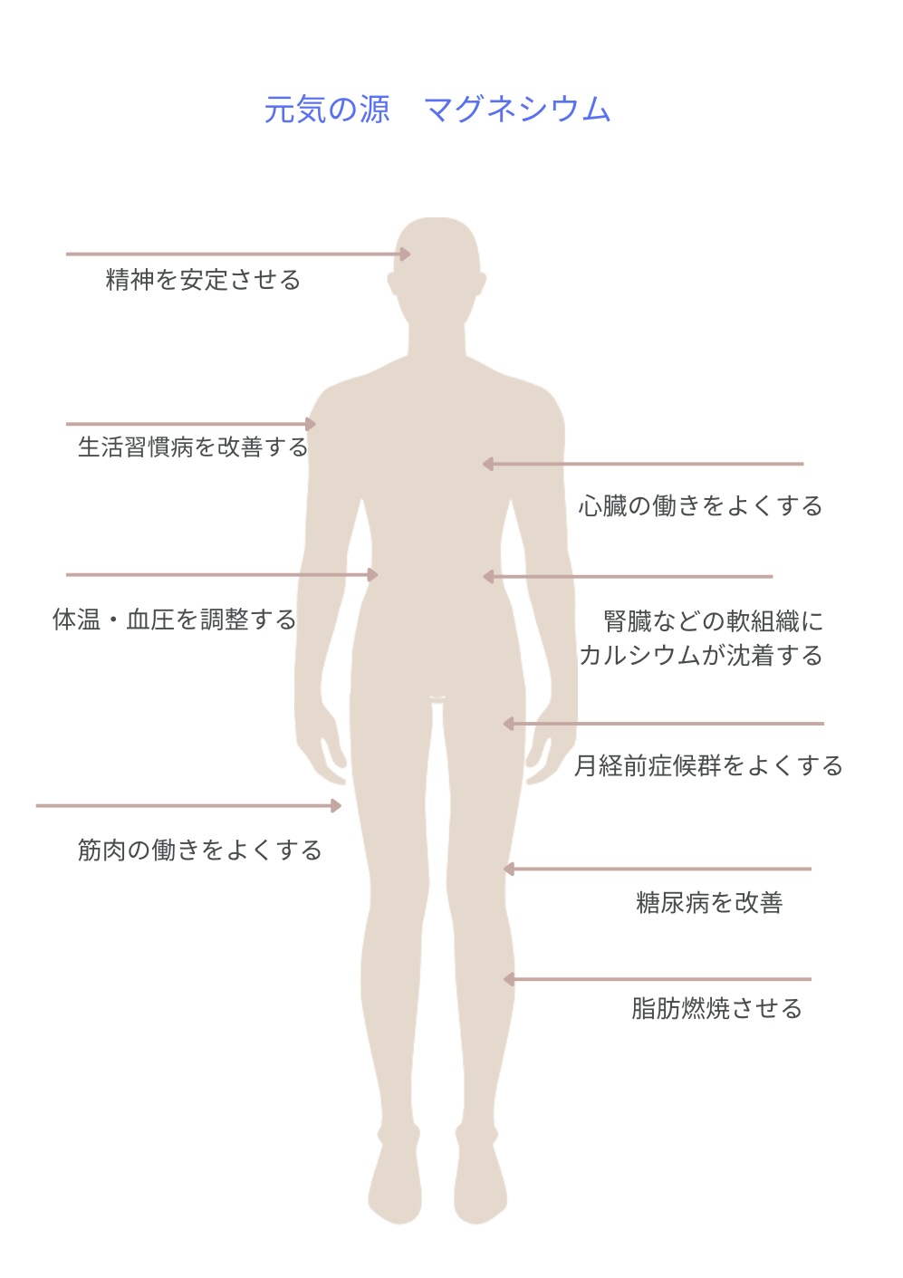 マグネシウムの働きはこんなにある！！