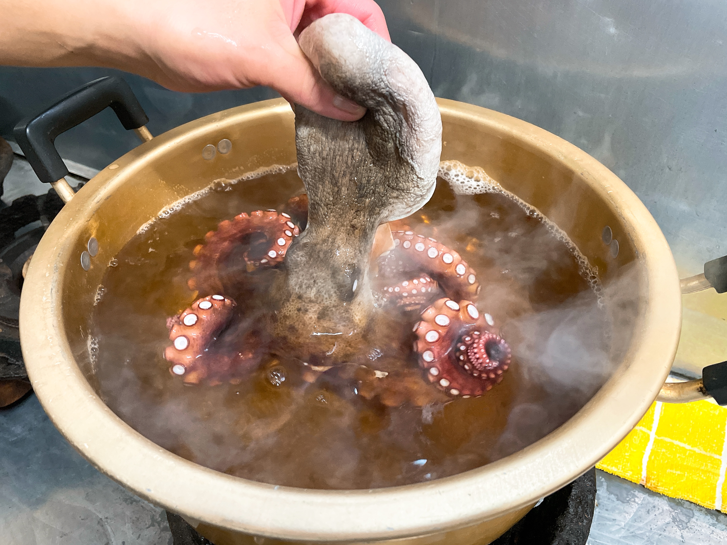 日間賀島タコの特徴と美味しさの理由！他のタコとの違いや比較について