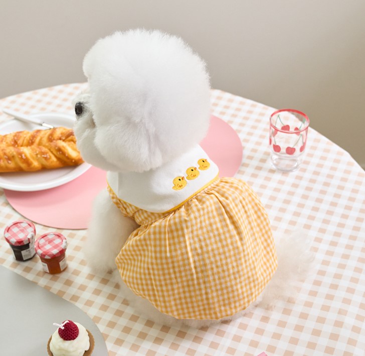 春服・夏服　多数入荷予定✨