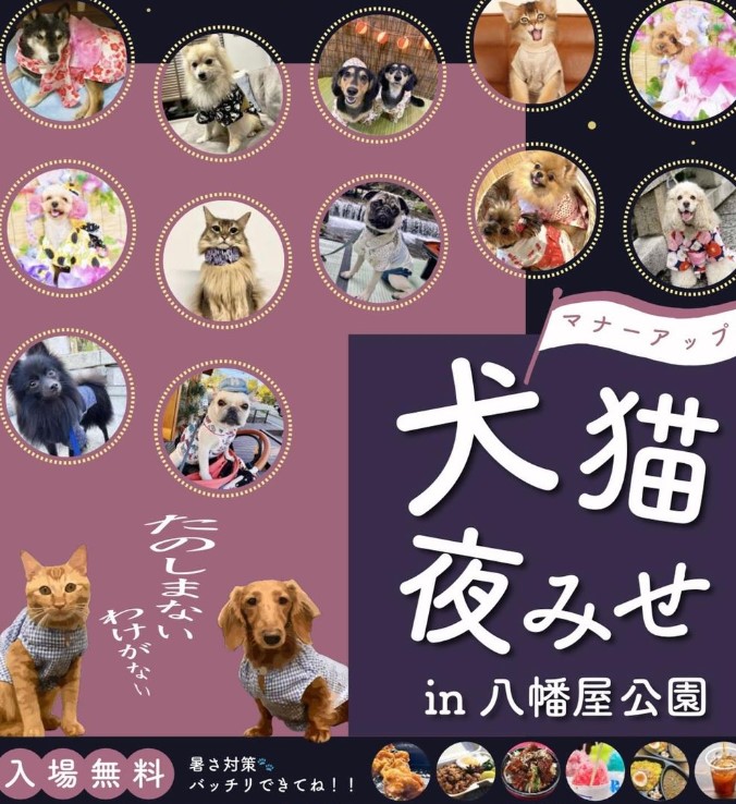 ˗ˏˋ マルシェ予告 ˎˊ˗
