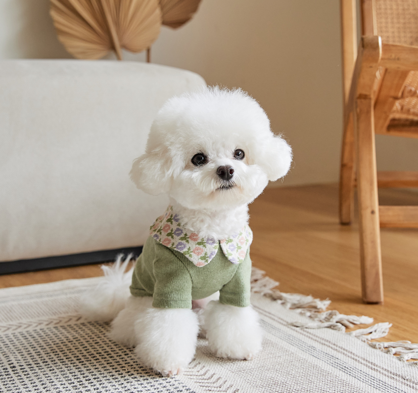 ˗ˏˋ BENNYS商品入荷予定 ˎˊ˗