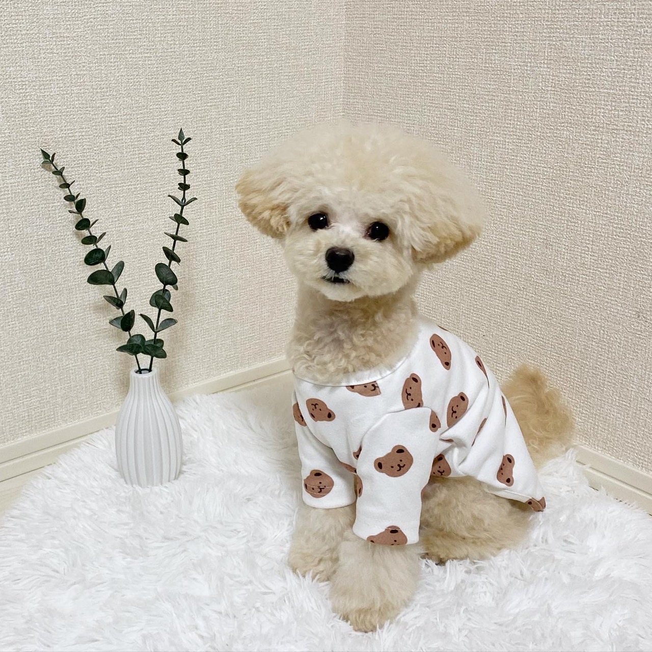 ˗ˏˋ saleへのご参加ありがとうございました ˎˊ˗