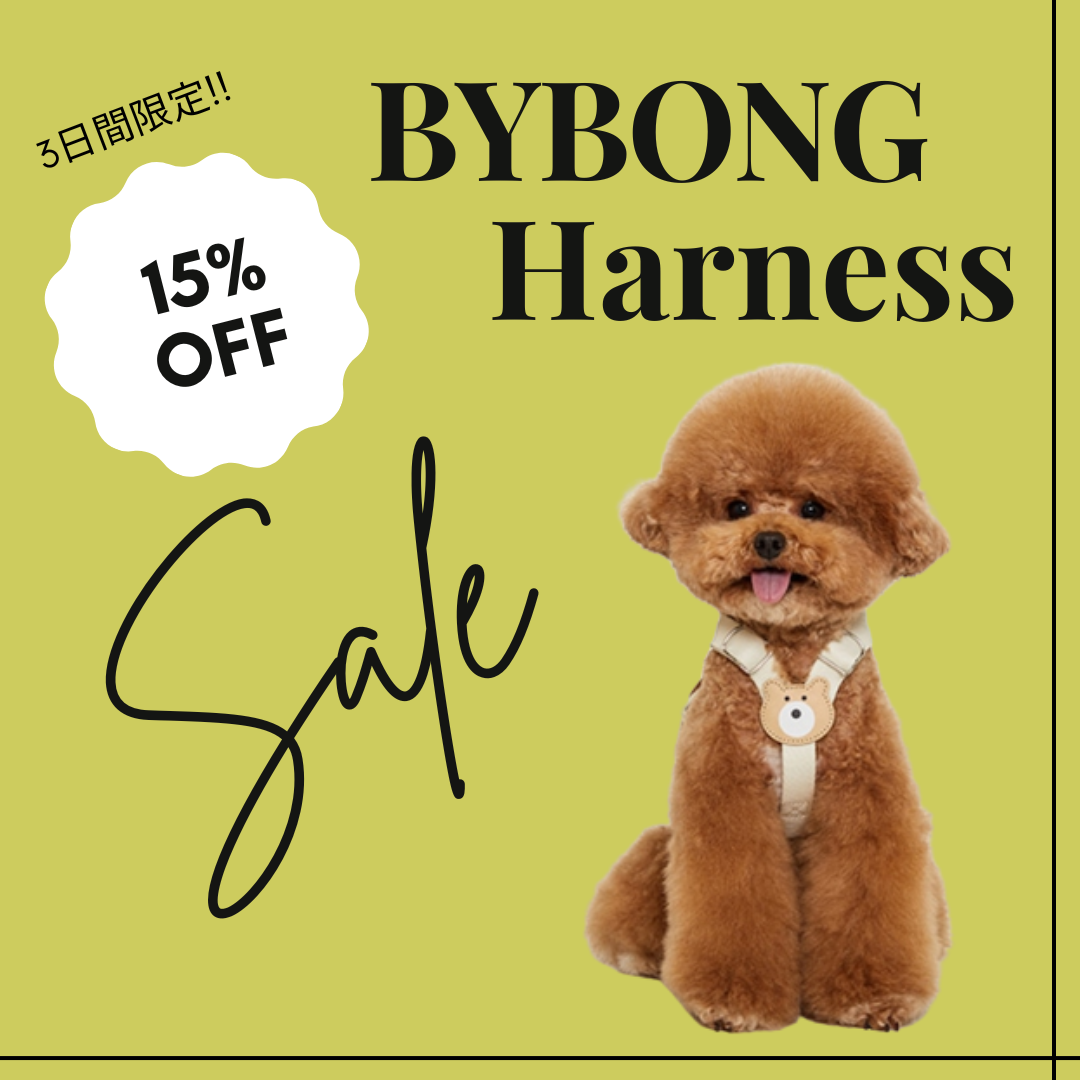 3日間限定♢BYBONG全商品SALE!!