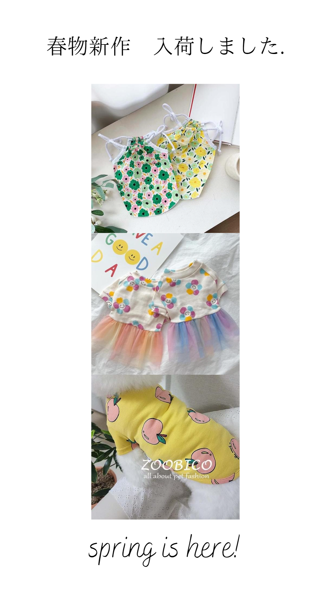 春物新作入荷しました⚘
