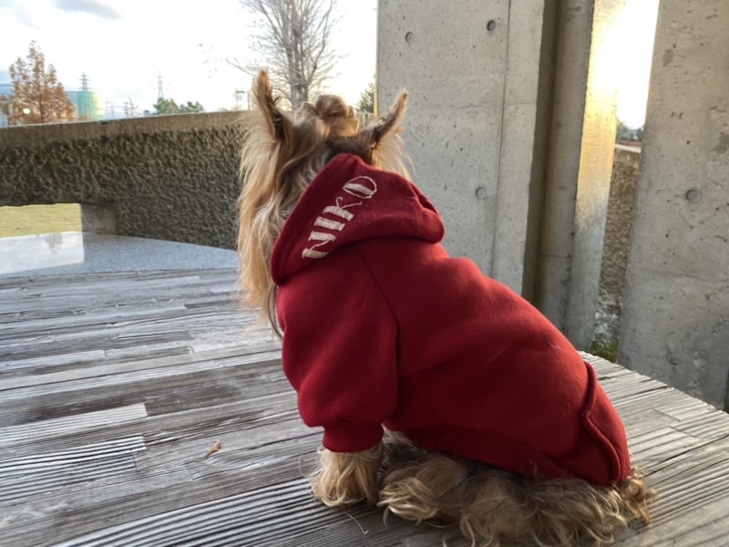 ˗ˏˋ ネーム入りパーカーのご予約が明日まで ˎˊ˗