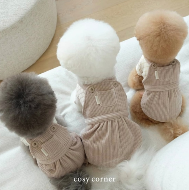 ˗ˏˋ cosy conerの商品全て即納品です ˎˊ˗