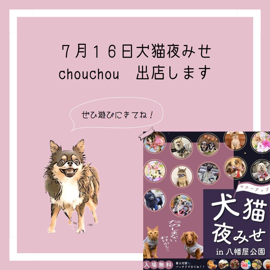 犬猫夜みせいよいよ開催！