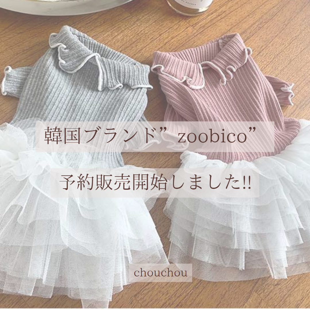 ˗ˏˋ 韓国ブランドzoobicoお取り扱い開始しました ˎˊ˗
