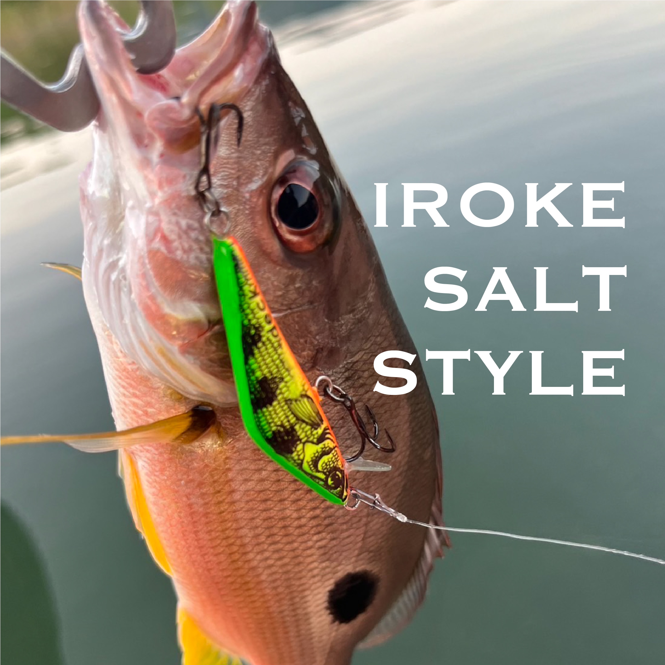 【IROKE SALT STYLE】