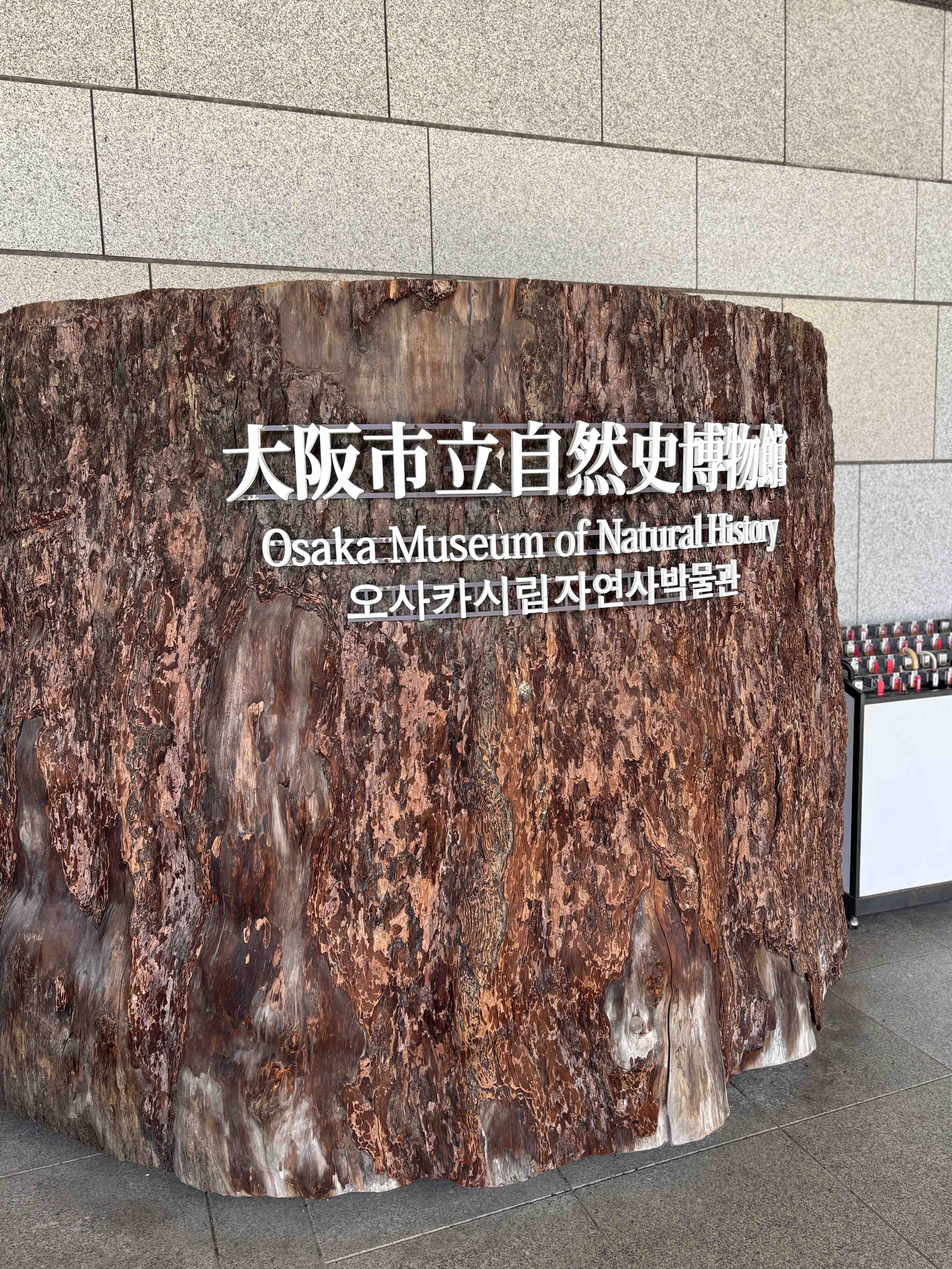 奈良県宇陀市の生物調査