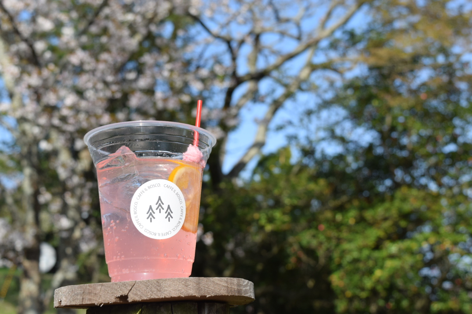 春色レモンソーダ／event drink