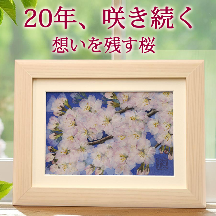 桜の押し花アートとは?本物のお花が20年以上咲き続ける理由