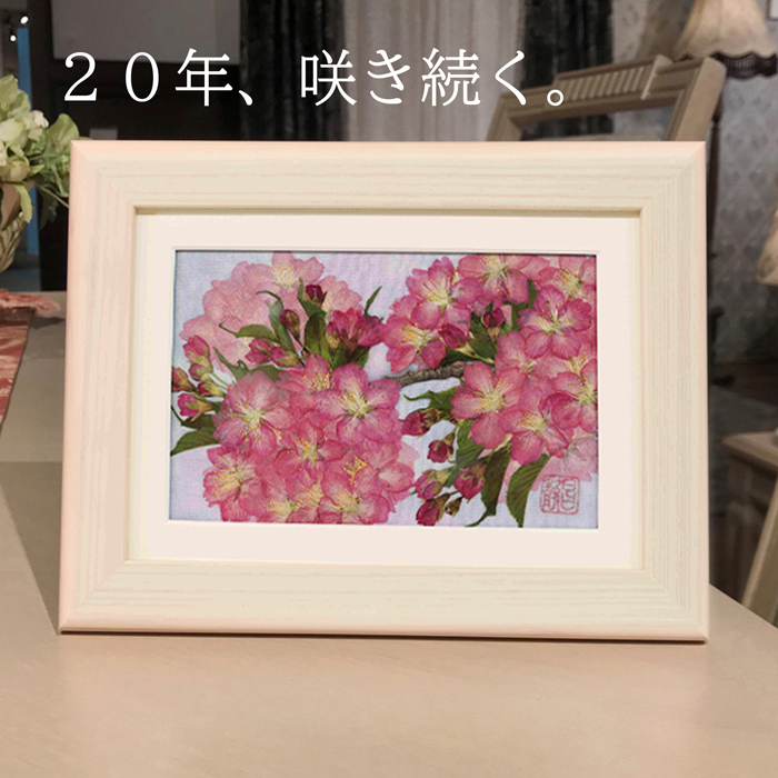 桜の押し花アート『河津桜』新作です。