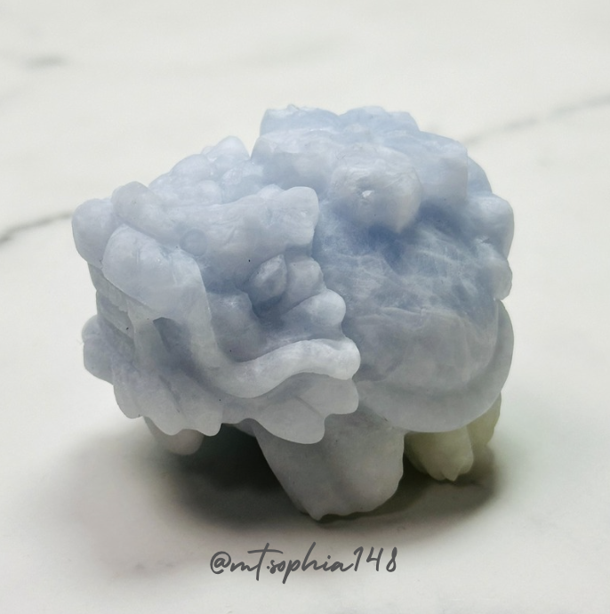 2025.12 インスタライブ スケジュール/随時更新